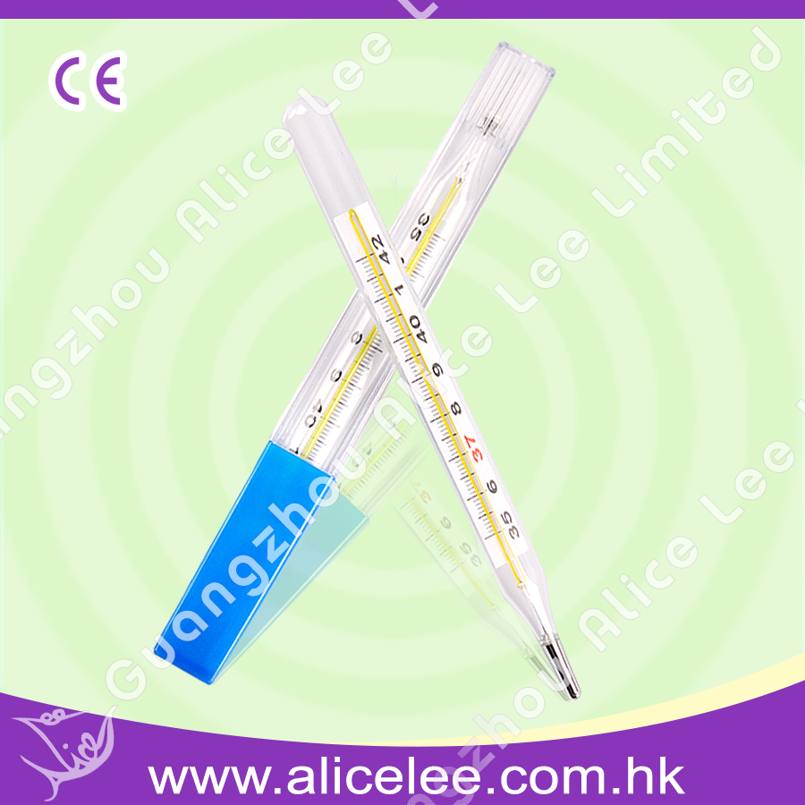 Mercury Glass Themometer